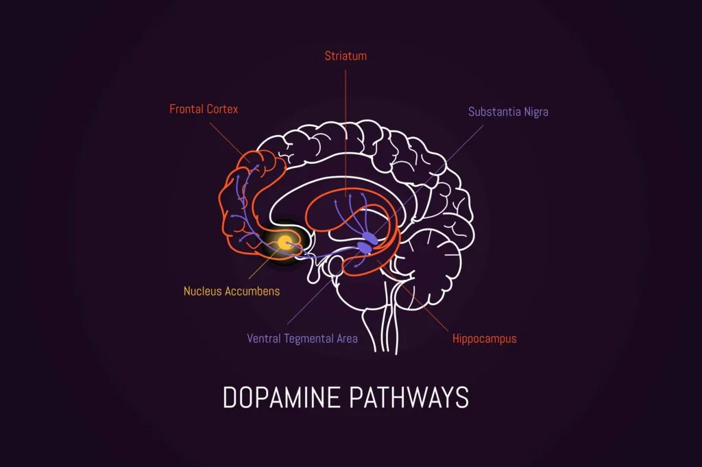 Alcohol Addiction Treatment